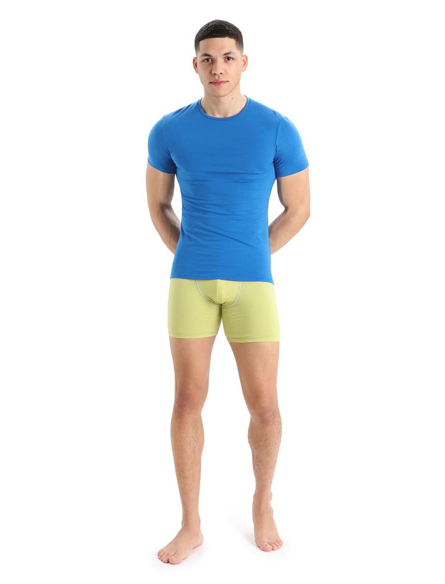 Men's Icebreaker Merino Anatomica Long Boxers Underwear Ether / Shine | CA 1664HAPK